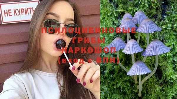 ГАЛЛЮЦИНОГЕННЫЕ ГРИБЫ Киреевск